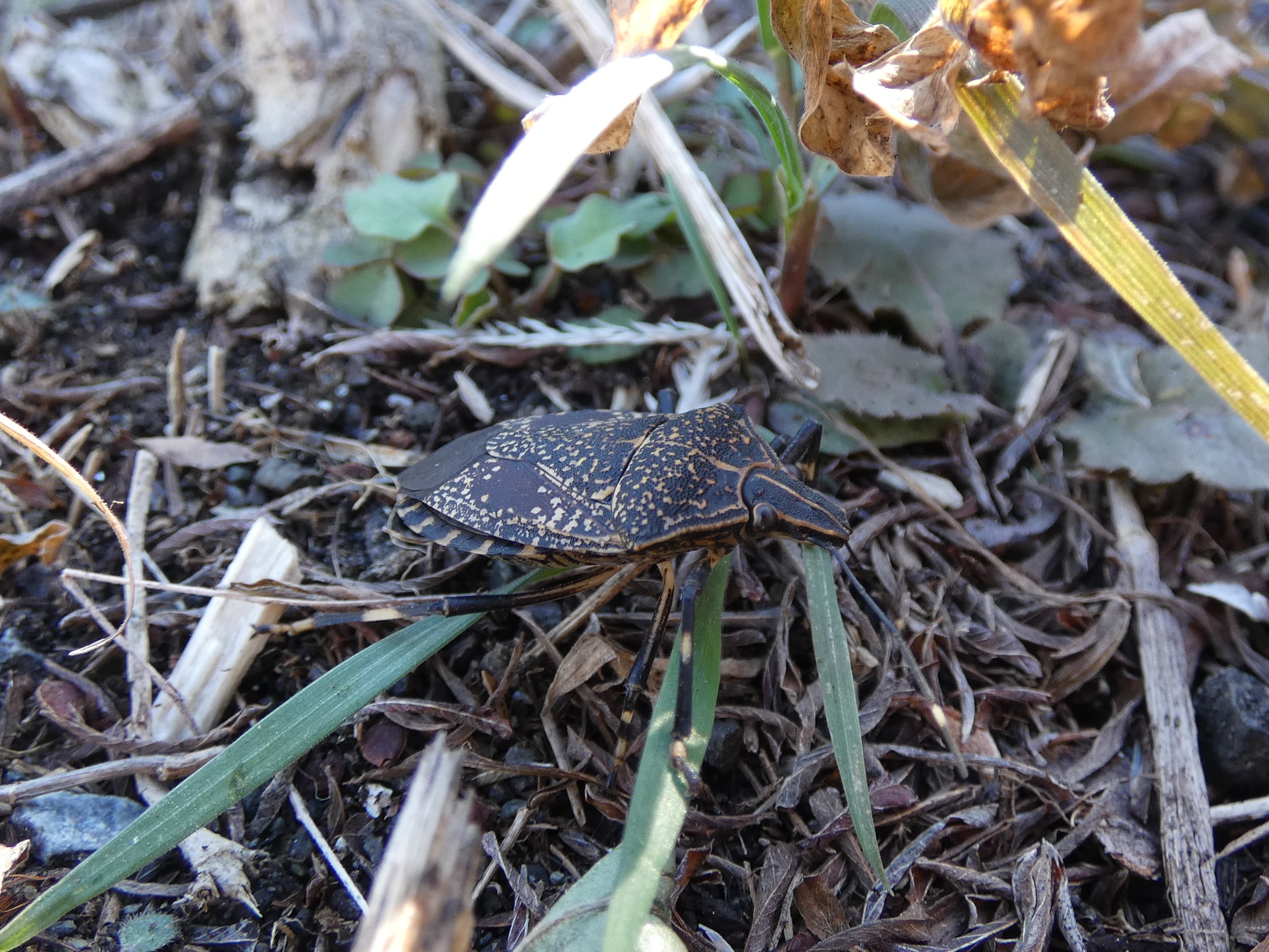 photo_4